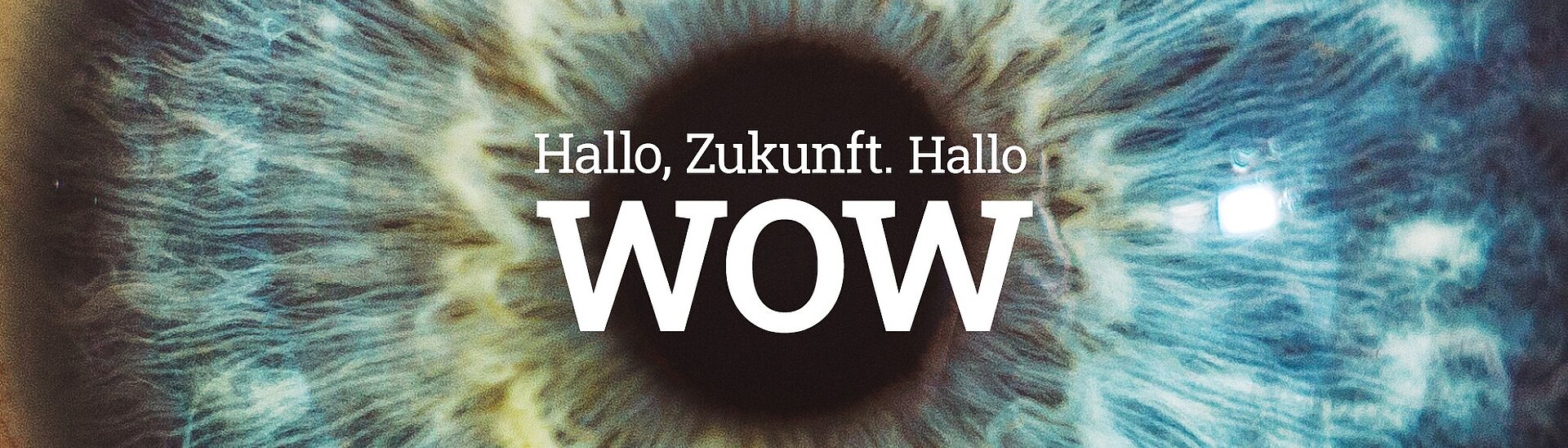 Physik Instrumente Karriere - Hallo Zukunft