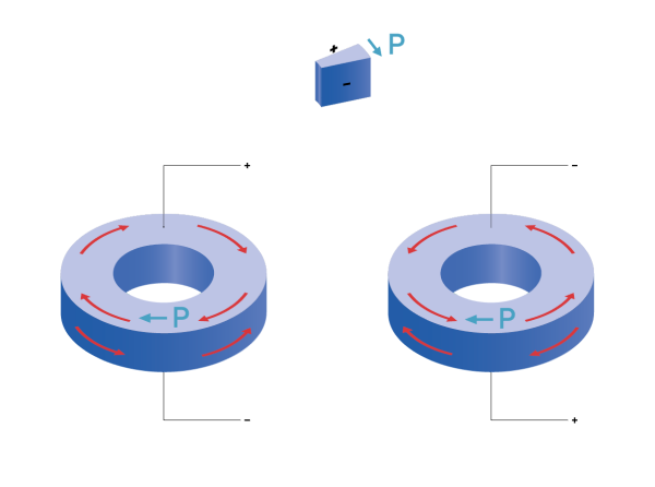 Torsion rings: Torsion movement of the ring with a clockwise polarization direction